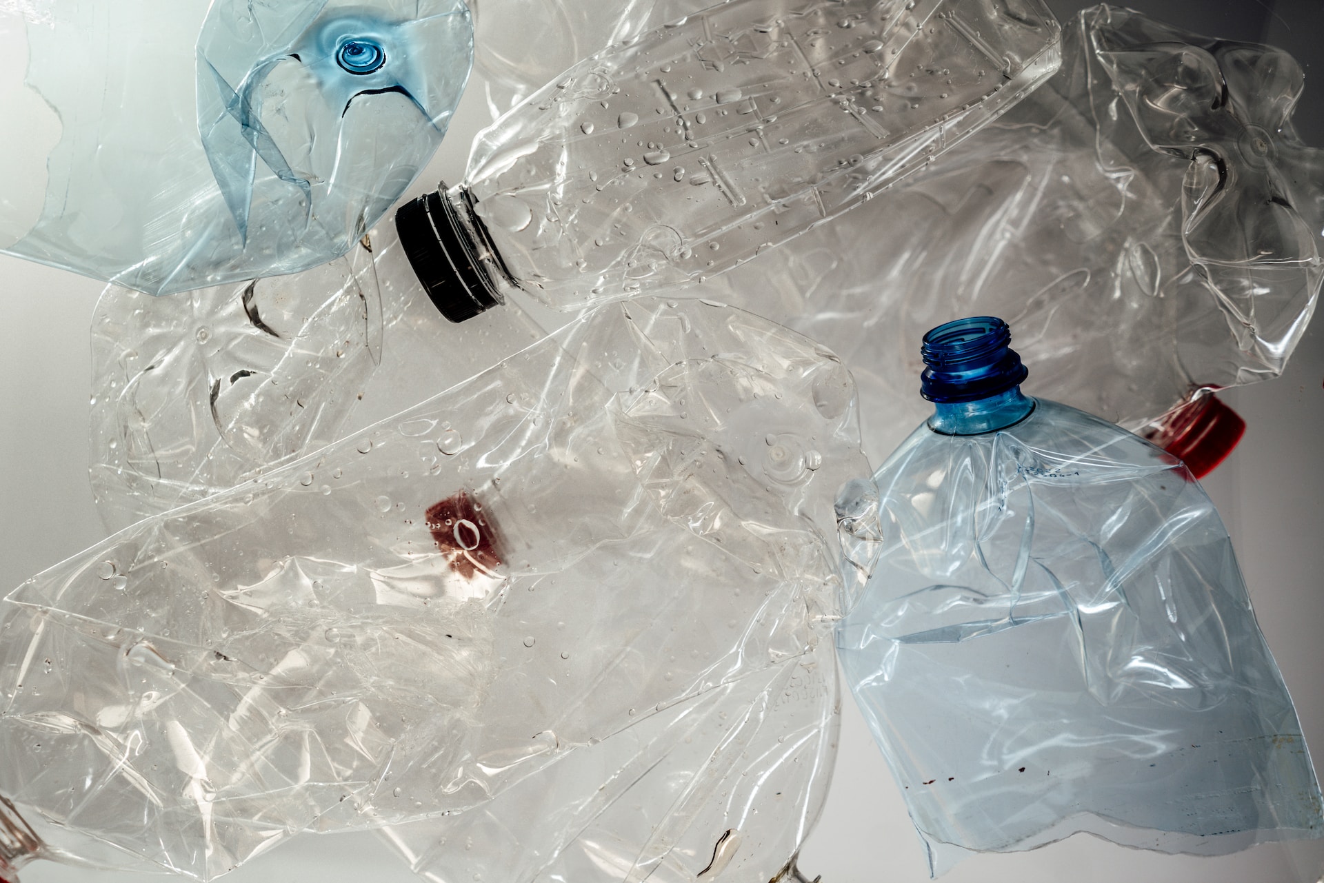 A collection of empty plastic bottles